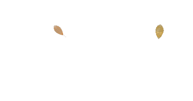 Beast Landscaping